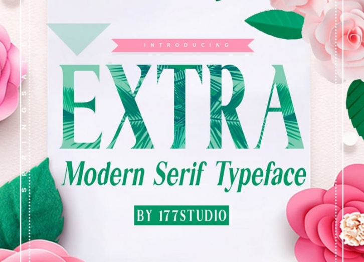 EXTRA Serif Font Download