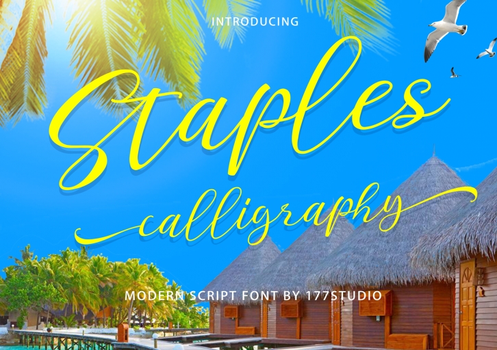 Staples Calligraphy Font Download