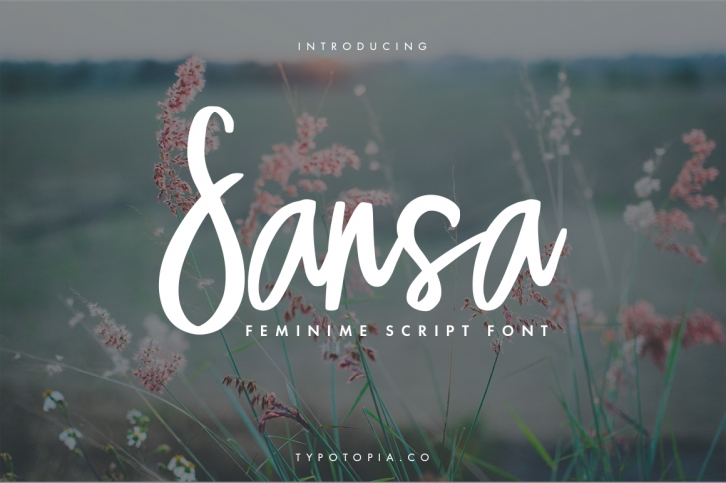 Sansa Font Download