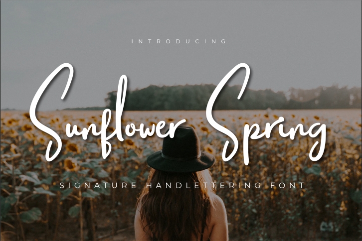 Sunflower Spring Font Download
