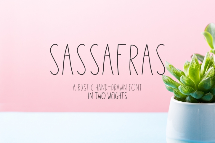 Sassafras Sans Font Font Download