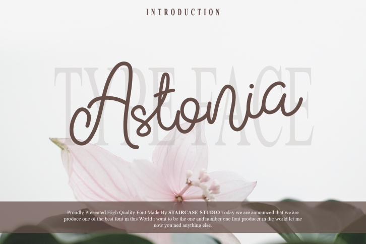 Astonia Font Download