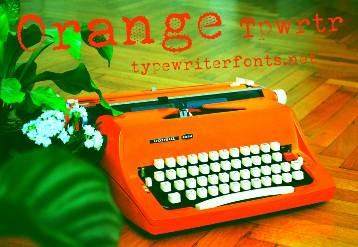 Orange Typewriter Font Download