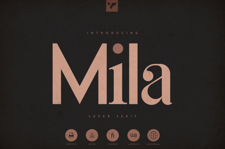 Mila - Innovative Super Serif Font Font Download