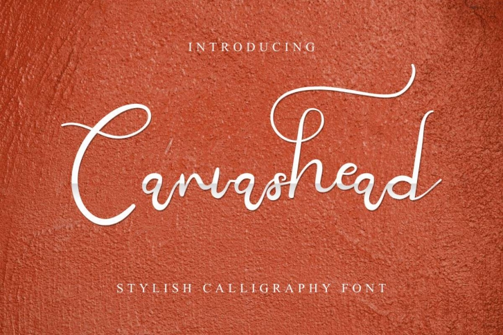 Canvashead Font Download