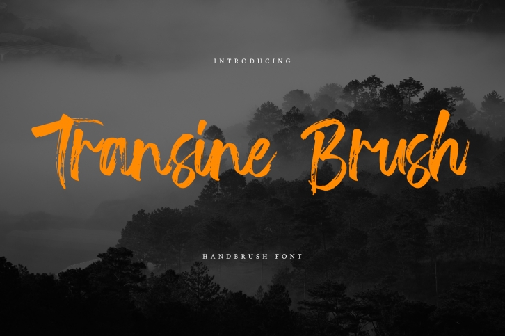 Transine Brush Font Download