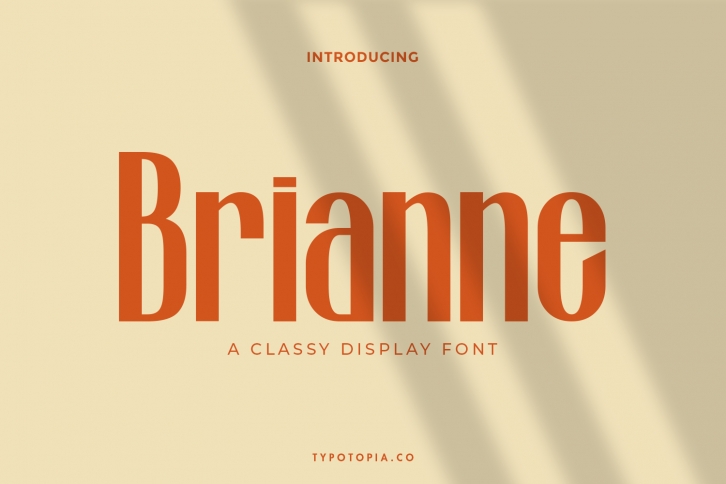 Brianne Font Download