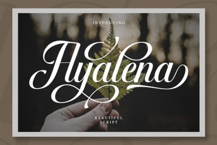 Ayalena Font Download
