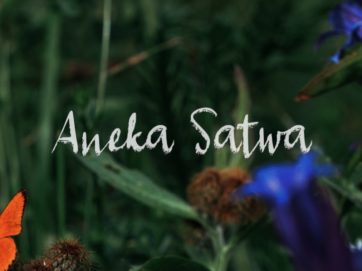 A Aneka Satwa Font Download