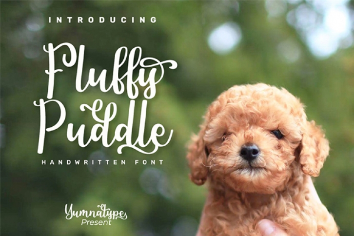 Fluffy Puddle Font Download