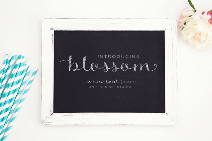 Blossom Script Font Download