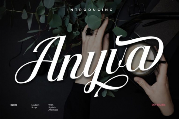 Anyva Font Download