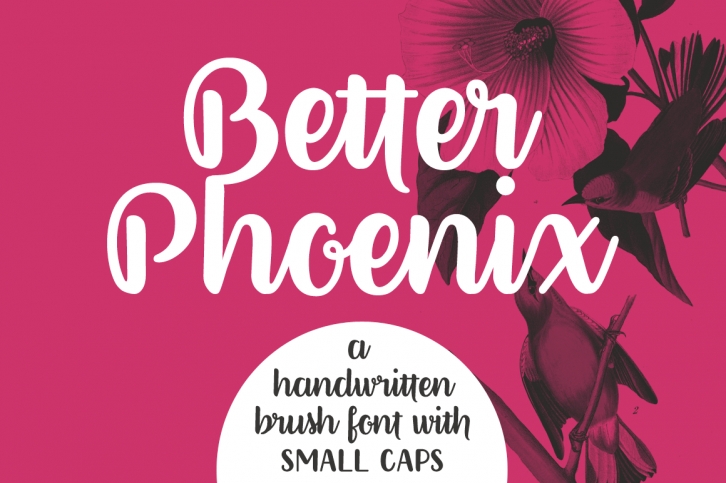 Better Phoenix | a brush font Font Download