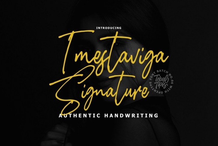 Imestaviga Signature Font Download