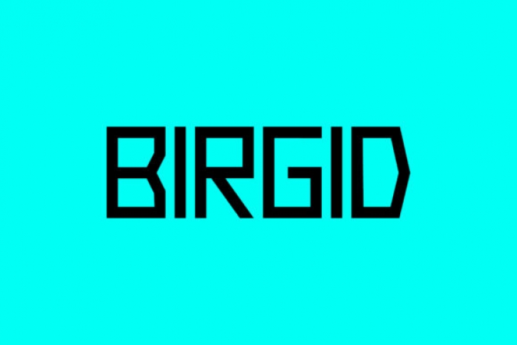 Birgid Font Download