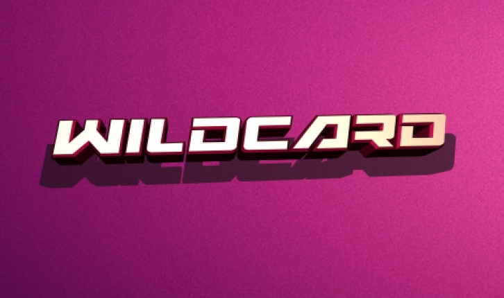 Wildcard Font Download