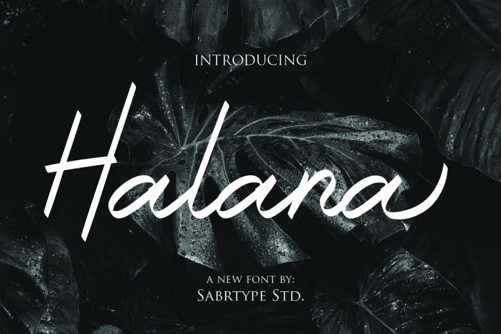 Halana Font Download