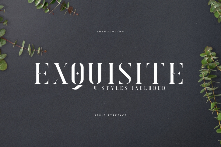 EXQUISITE - SERIF TYPEFACE Font Download