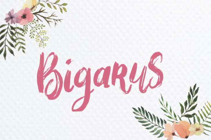Bigarus Font Download
