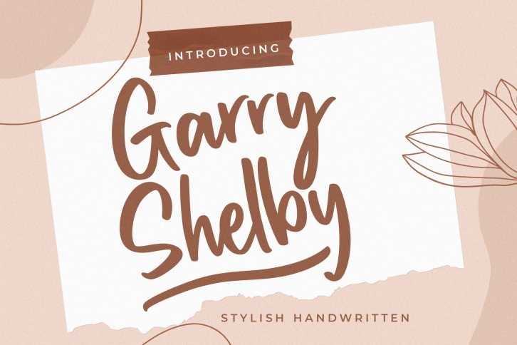 Garry Shelby Stylish Handwritten Font Download