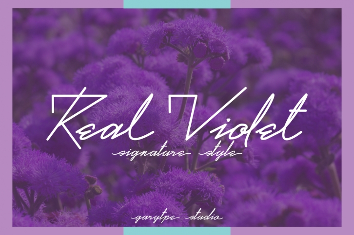 Real Violet - Signature Style Font Download