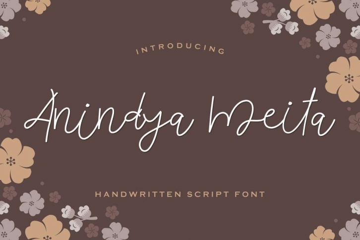 Anindya Meita Font Download