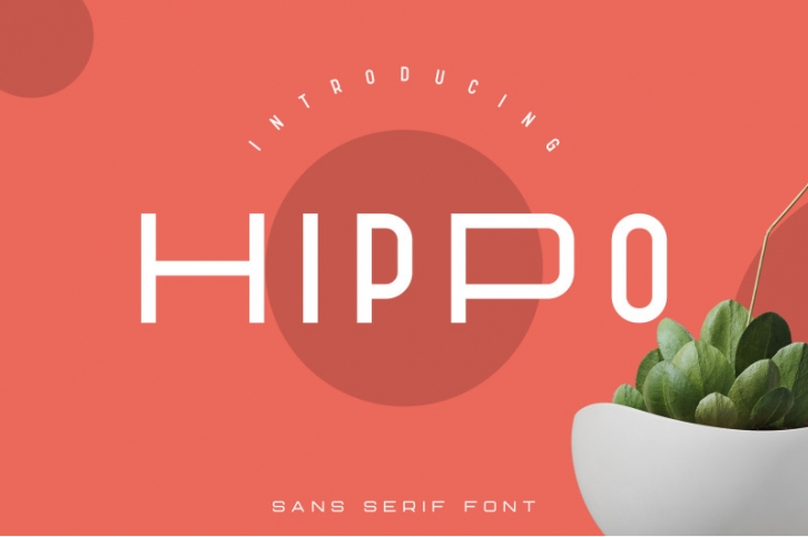 Hippo Sans Serif | 3 styles Font Download