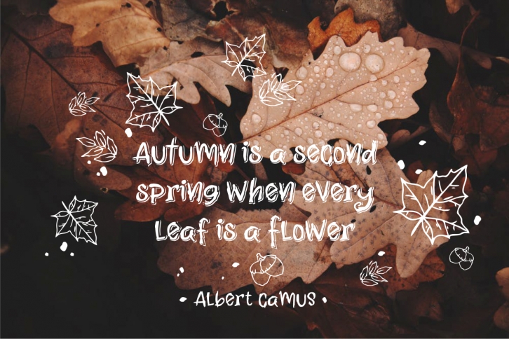 The Fright Nigh Font Download