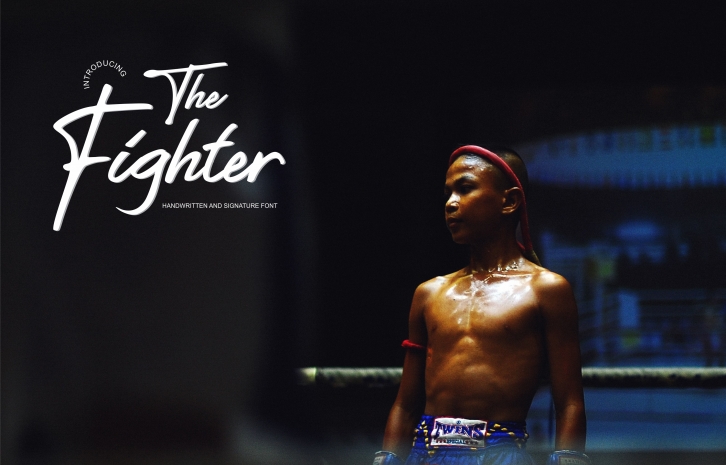 The Fighter Font Download