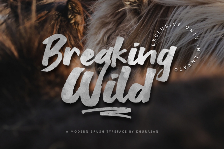 Breaking Wild Font Download