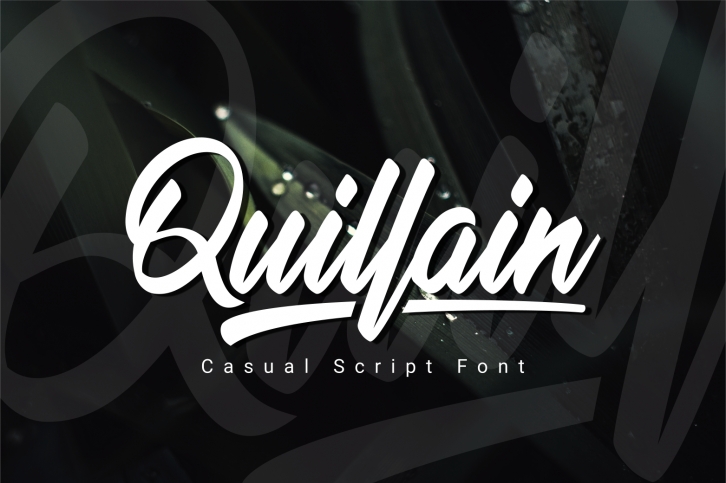 Quillai Font Download