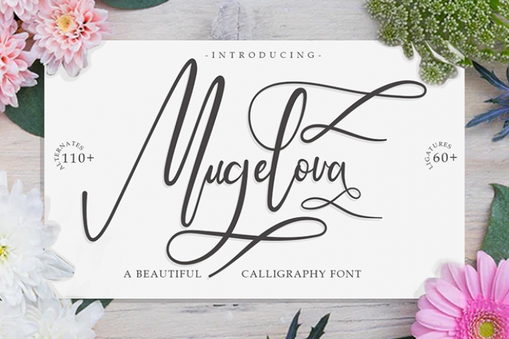 Mugelova Font Download