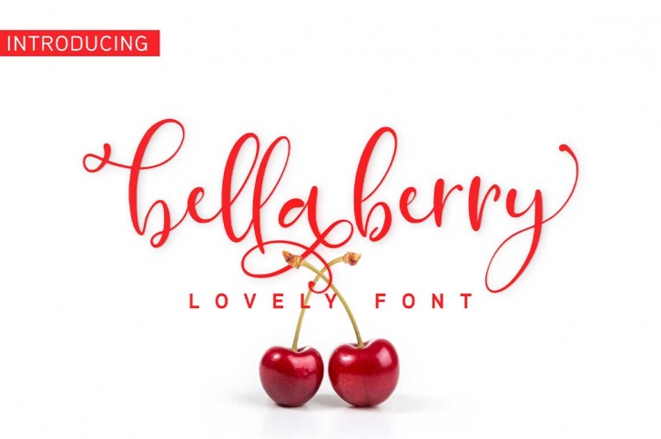 Bellaberry Font Download