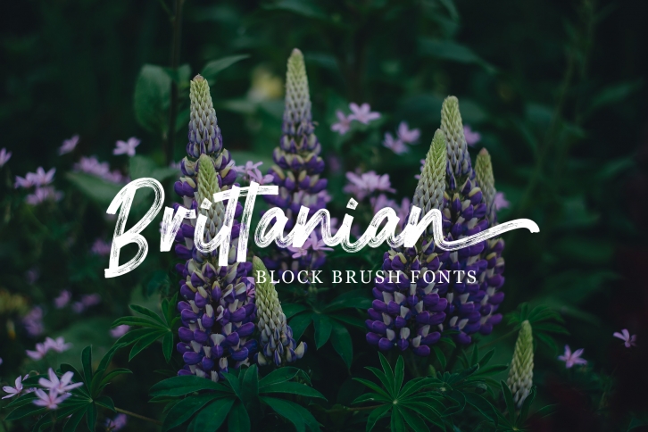 Brittania Font Download