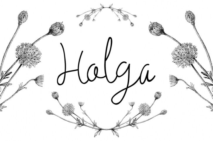 Holga Script Font Download
