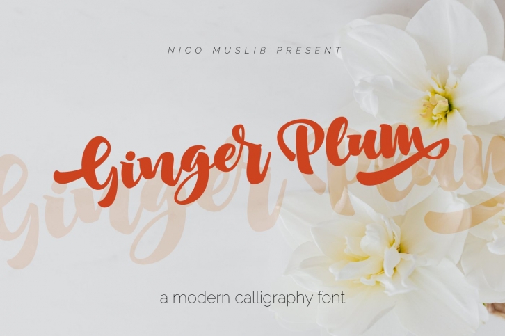 Ginger Plum Script Font Download