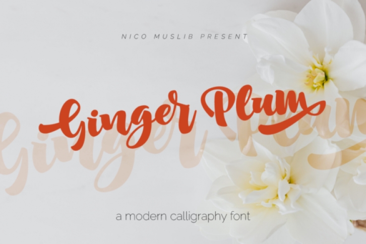 Ginger Plum Font Download