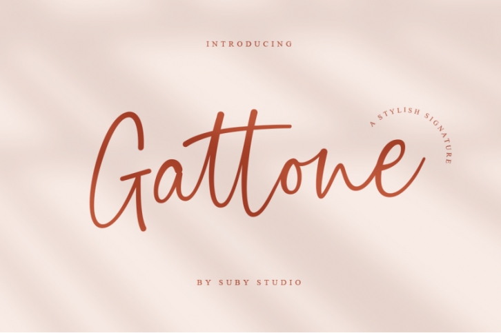 Gattone - Stylish Signature Font Font Download