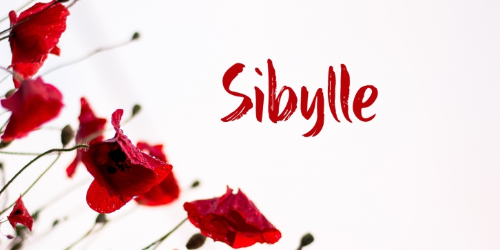 Sibylle DEMO Font Download