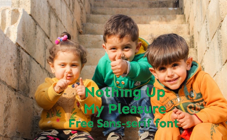 Nothing Up My Pleasure Font Download