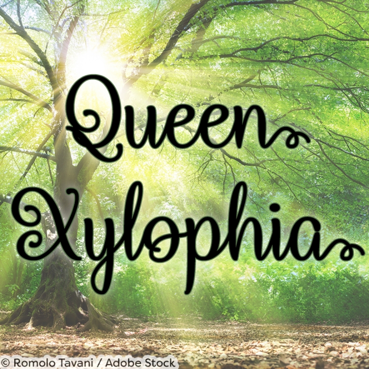 Queen Xylophia Font Download