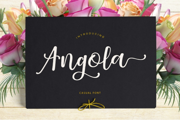 Angola Script Font Download