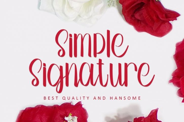 Simple Signature - A Modern Handwritten Font Font Download