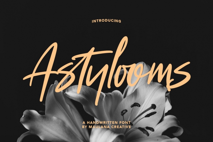 Astylooms Handwritten Brush Font Font Download