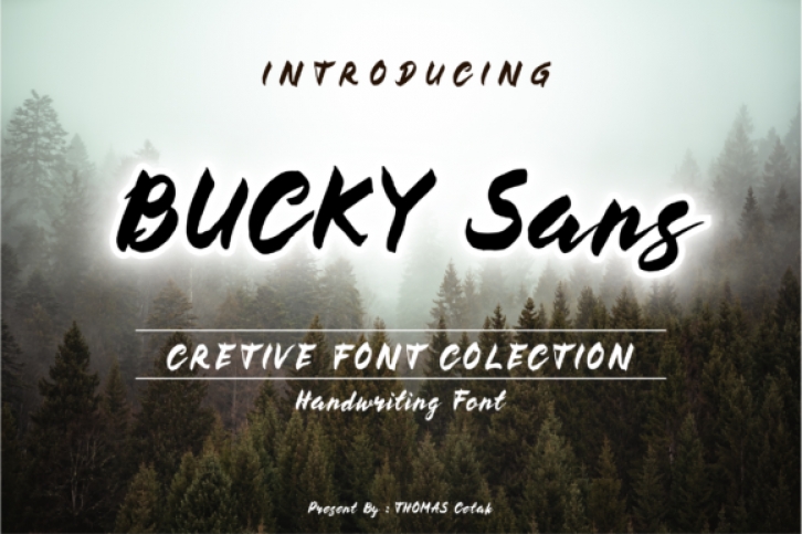 Bucky Font Download