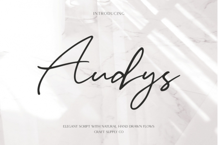Audys - Elegant Script Font Font Download