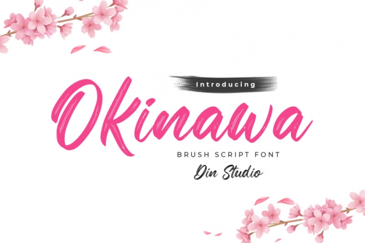 Okinawa-Elegant Brush Font Font Download