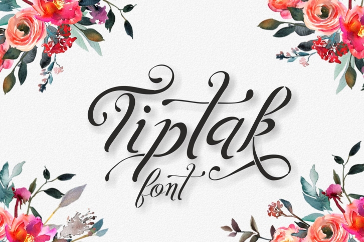 Tiptak Font Download