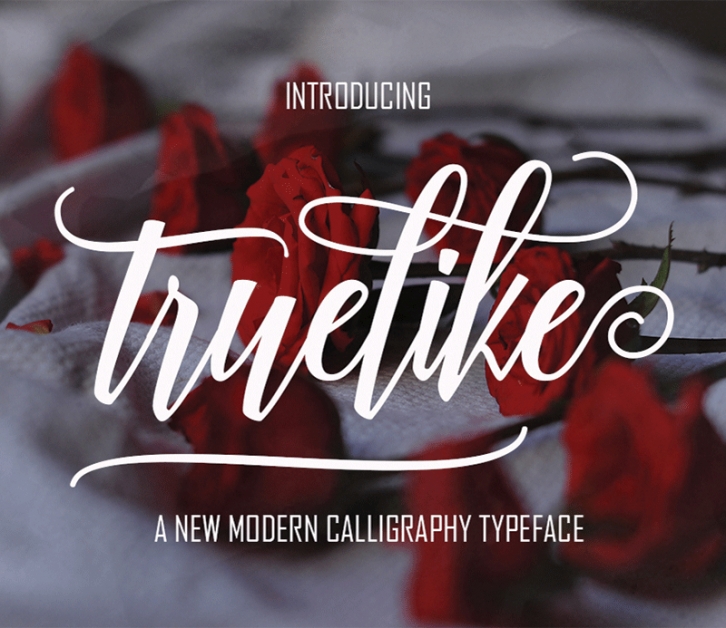 Truelike Font Download