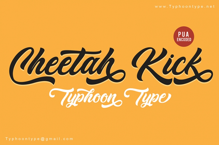 Cheetah Kick Font Download